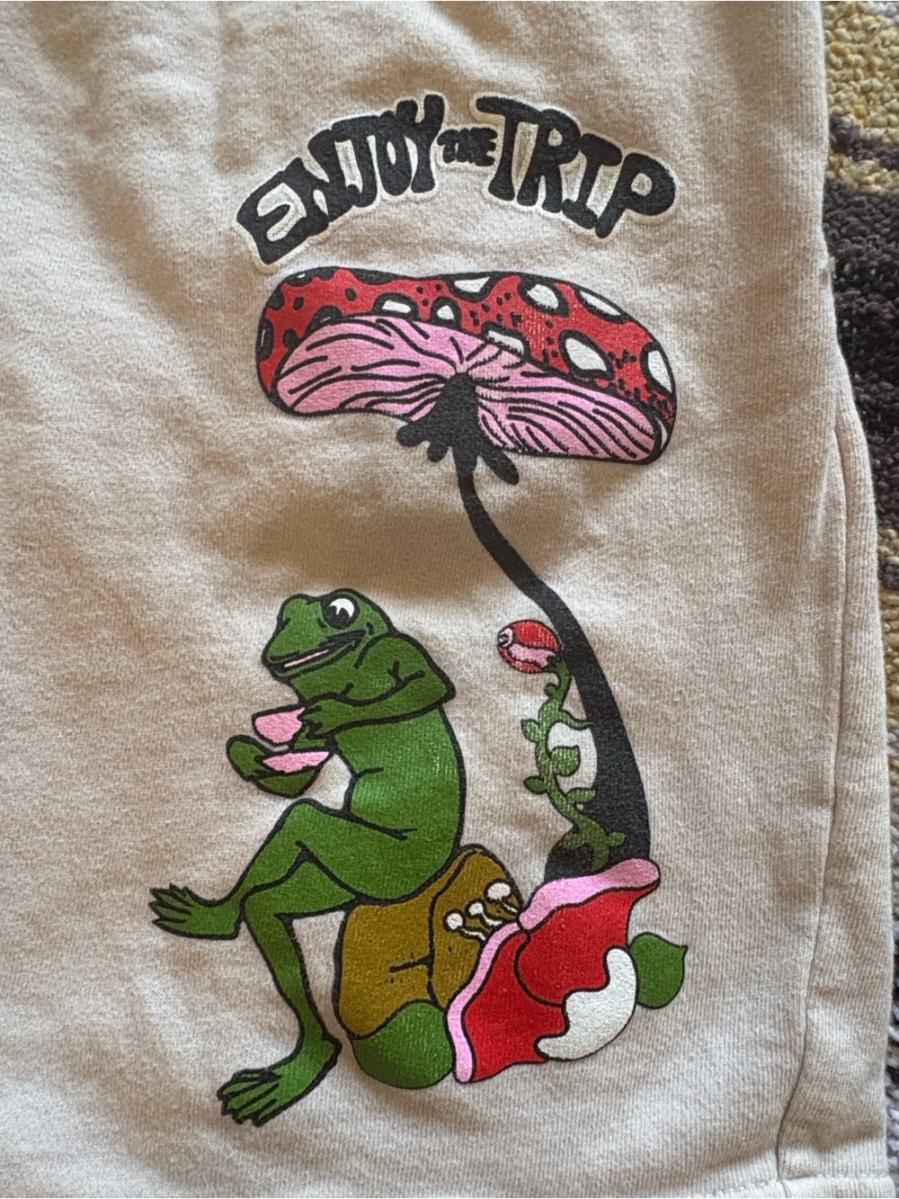 ALAB- “ENJOY THE TRIP” Cream Graphic Frog & Mushroom Drawstring Shorts - Picture 3 of 6